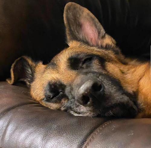 12:46:11 GMT+0100 (WAT)