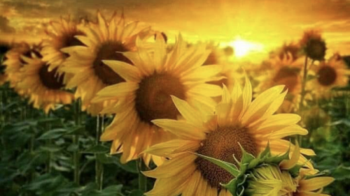 17:33:38 GMT-0700 (MST).image