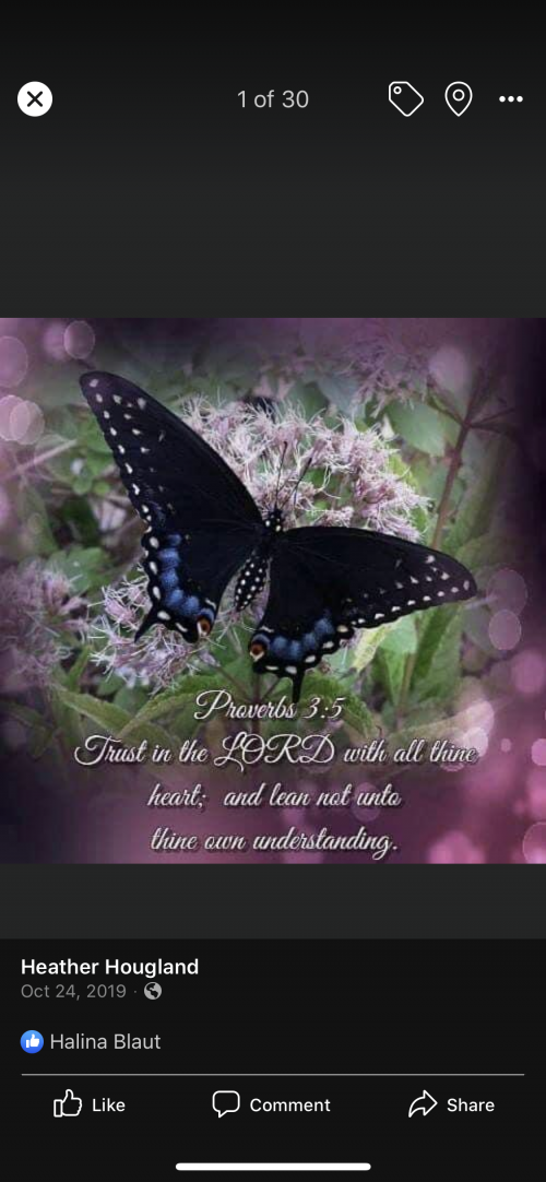 00:31:58 GMT-0500 (EST).image