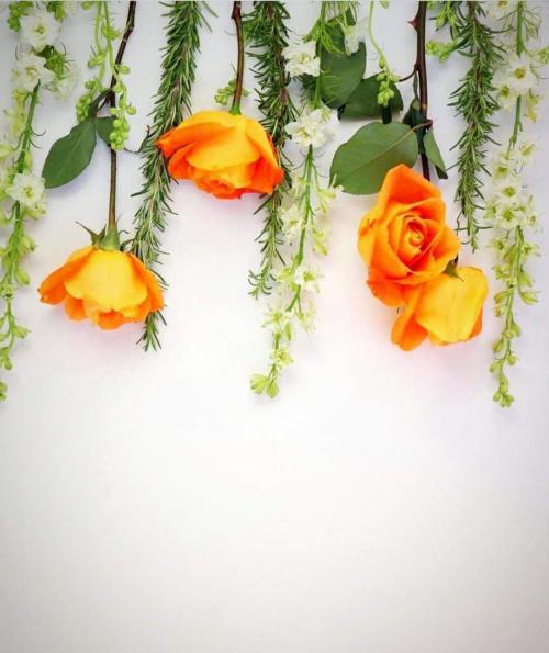 19:27:11 GMT-0600 (CST)