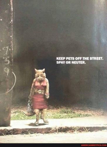 02:32:13 GMT-0600 (CST).image