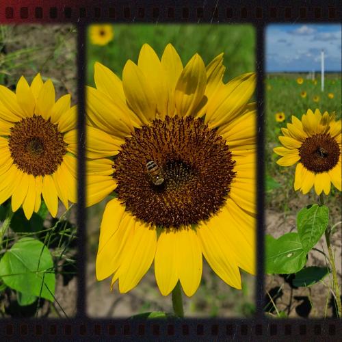 15:03:09 GMT-0500 (EST)