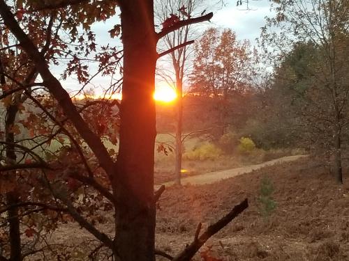 21:48:57 GMT-0500 (EST)