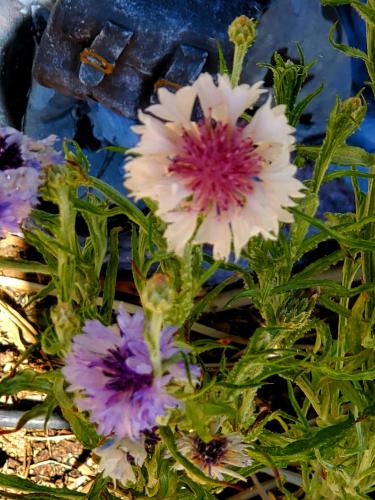 15:54:41 GMT-0800 (PST)