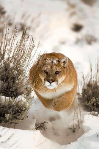 121808608_10214320028994780_5681606526234851509_n