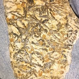 21:43:54 GMT-0600 (CST)