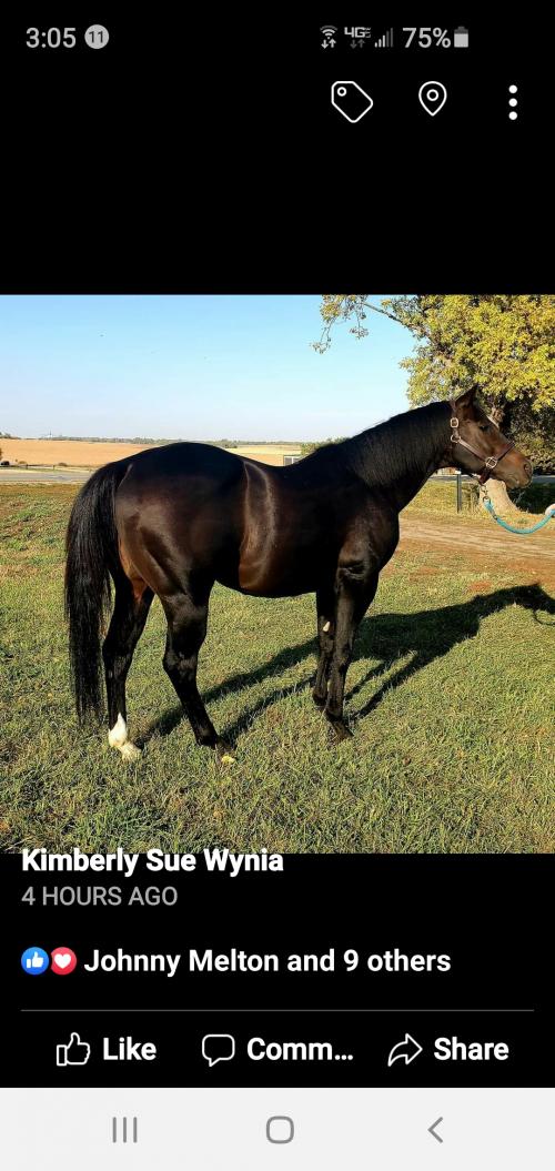 15:07:50 GMT-0600 (CST)