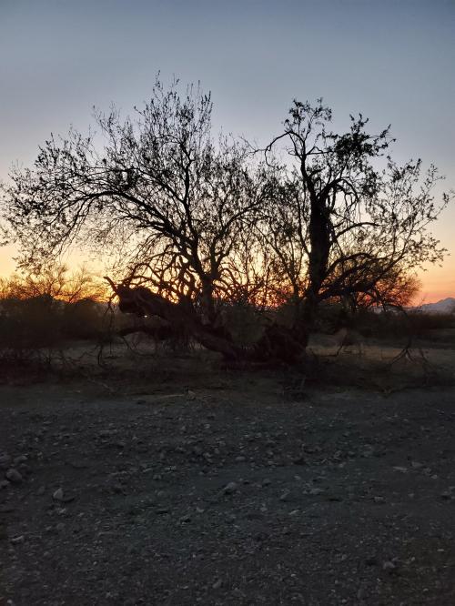 11:14:07 GMT-0700 (MST)