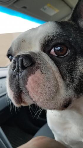 15:33:50 GMT-0600 (CST)