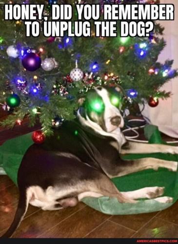 20:54:04 GMT-0600 (CST).image