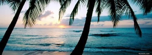 1465145535barbados-beach-nature
