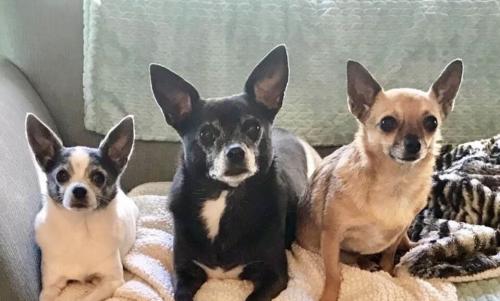 18:42:36 GMT-0500 (EST).image