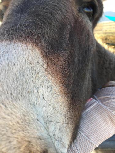 17:24:15 GMT-0800 (PST).image