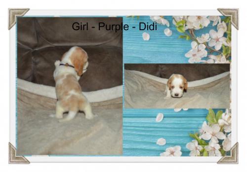 87302979_787600221746225_6469354434458550272_o