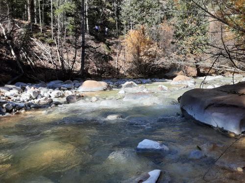 18:19:04 GMT-0600 (CST)