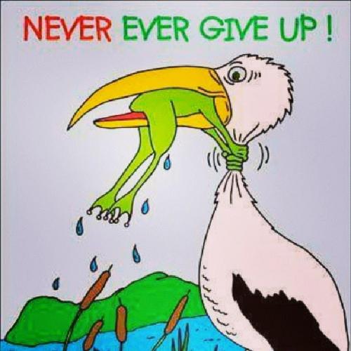 Never Give Up