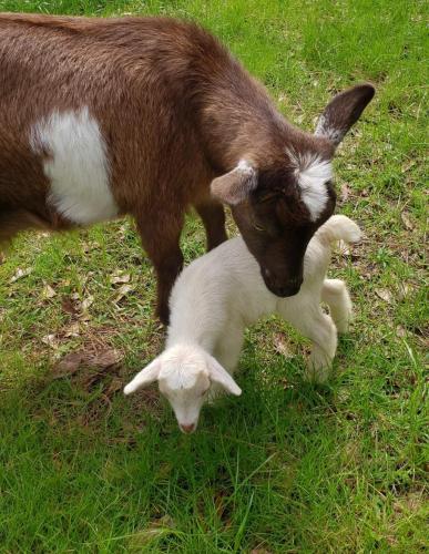 21:33:48 GMT-0600 (CST)