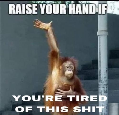 B20048DE-3466-4D34-B693-45309AC93316-13483-0000094A0CA8115A