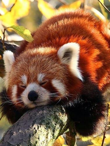 tumblr_5b58cf728136390edcbdca023d56247c_6c46ee3a_500