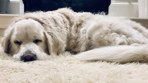 20:18:24 GMT-0600 (CST).image