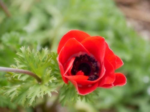 15:13:39 GMT-0800 (PST)