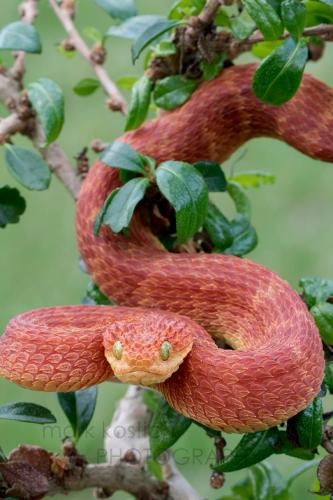 125209745_3296191523826034_141729186700906874_o