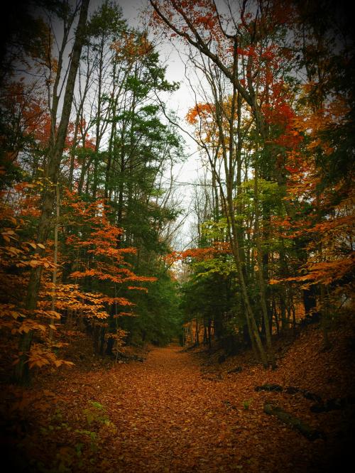 00:05:52 GMT-0600 (CST).image