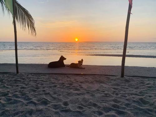 18:30:47 GMT-0600 (CST).image