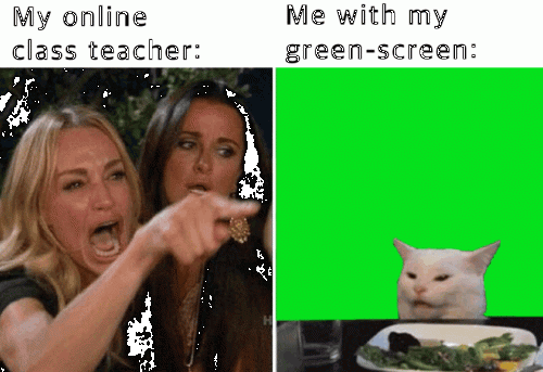 My online class teacher gif Nov 2020