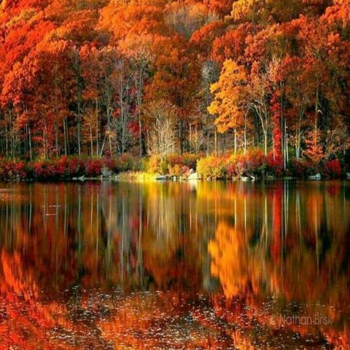 13:24:45 GMT-0500 (EST).image