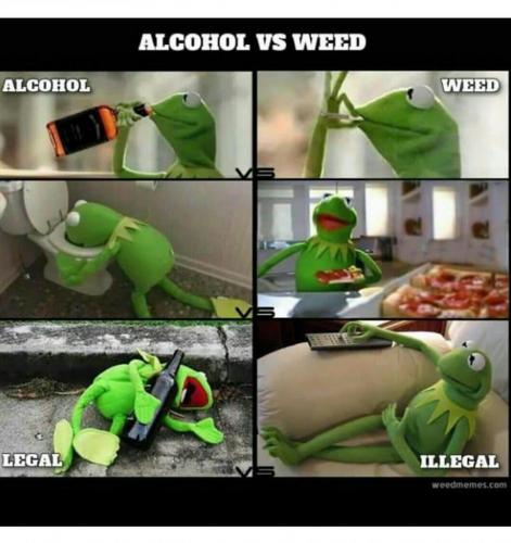 Screenshot_2020-10-26-07-19-14-1