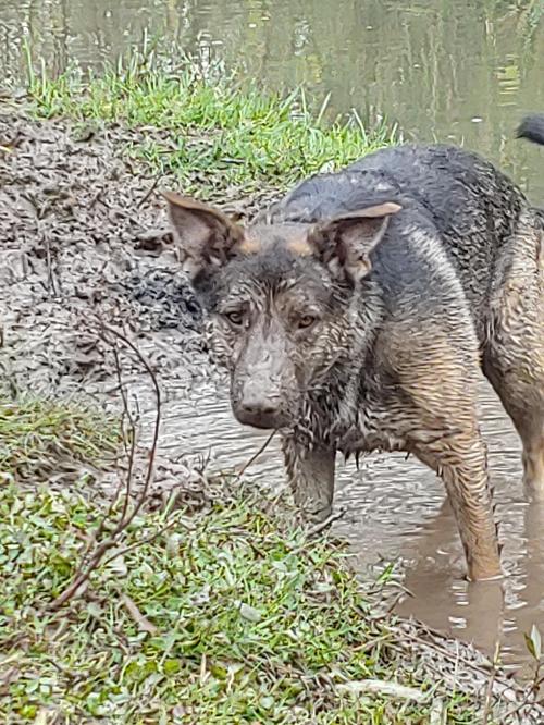 12:20:37 GMT-0500 (EST)