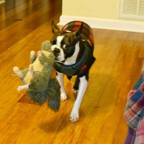 05:25:54 GMT+0100 (WAT)