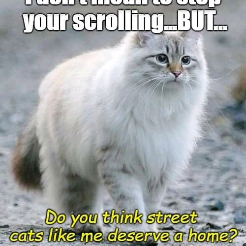 10:10:50 GMT+0100 (WAT)