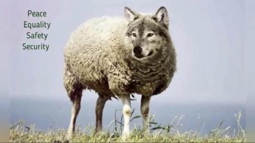 12:49:56 GMT+1100 (AEDT).image