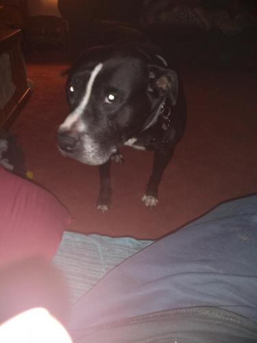 14:44:45 GMT-0500 (EST)