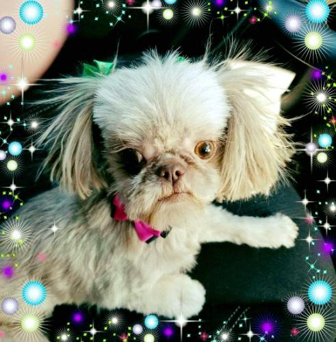 08:22:46 GMT-0500 (EST)