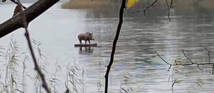 124165289_10164213781835153_4373778602953755242_o - Copy (2)