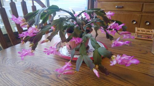 19:10:46 GMT-0700 (MST)