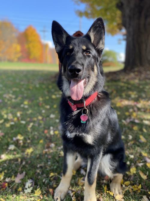 07:03:13 GMT-0500 (EST).image