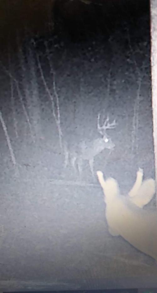 15:36:09 GMT-0500 (EST)