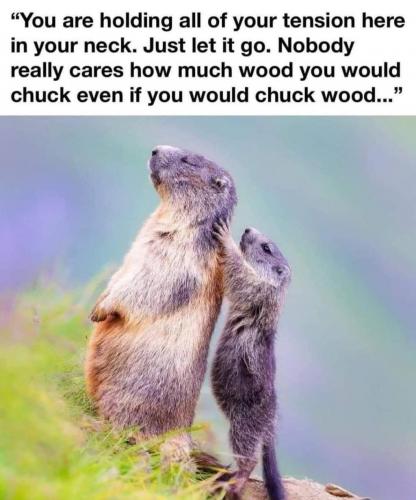 01:57:46 GMT-0500 (EST)