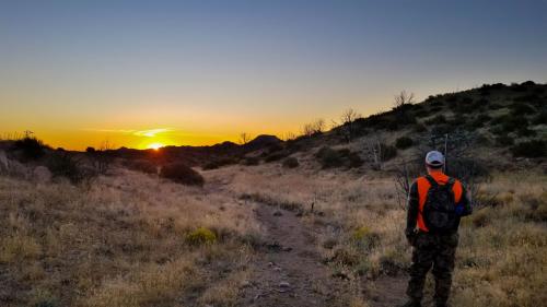 161916_n44u3hgnhqtr5r6qkkuhgupj72_594796