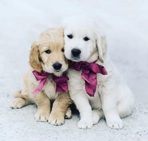 21:15:48 GMT+0100 (WAT).image