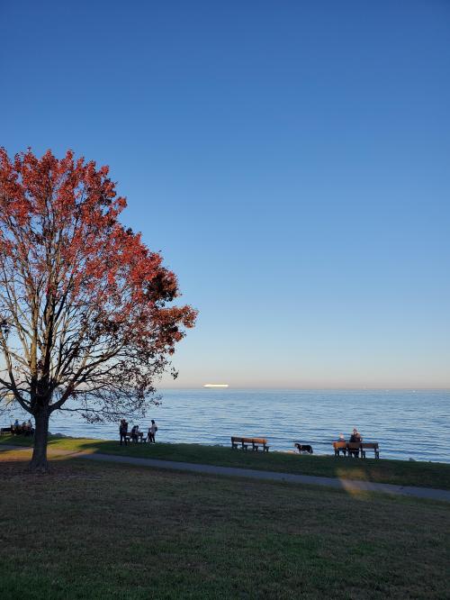 07:54:06 GMT-0500 (EST)