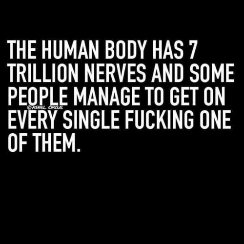 23:58:46 GMT-0800 (PST)