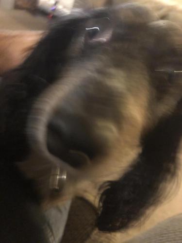 08:21:31 GMT-0700 (MST).image