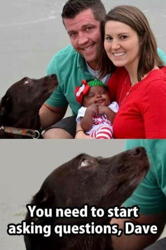 19:58:25 GMT-0800 (PST).image