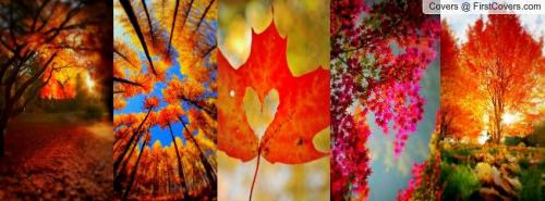 07:58:54 GMT-0500 (EST).image