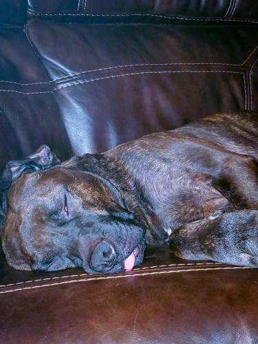 23:23:59 GMT-0600 (CST)